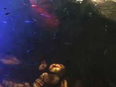-宝丽金大酒店·洗浴中心