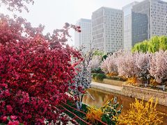 -海棠花溪(元大都城垣遗址公园)