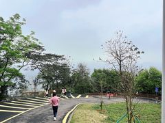 -黄埔油麻山森林公园