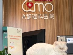 -御宝贝·A梦猫科宠物医院(国际猫友好医院)