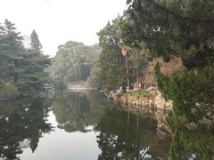 -叶家花园