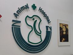 -中农国际动物医院24小时·猫科·骨科·急重症中心