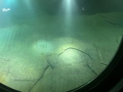 -白鹤梁水下博物馆