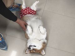 -汪说·狗咖(旺城大厦店)