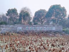 -西溪国家湿地公园