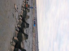 -南汇新城海滩