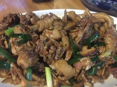 -生态苑农庄(十里画廊遇龙河店)