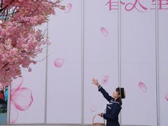 -首开·龙湖成都西宸天街