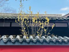 -成都杜甫草堂博物馆