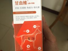 -安安宠医·安宠宠物医院