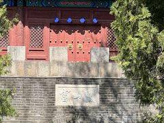 -云岗森林公园