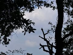 -火炉山森林公园