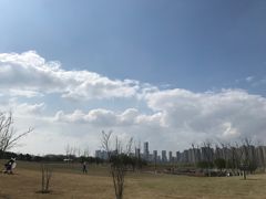 -洋湖国家湿地公园