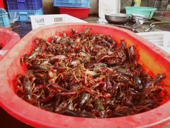 小龙虾-盱眙虾怪·旗舰店