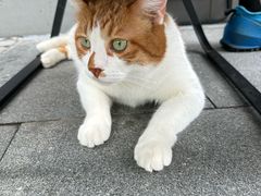 -阿勇面馆(东书房路店)