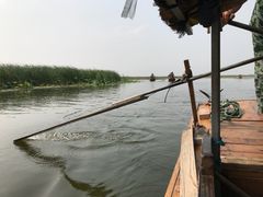 -白洋淀景区