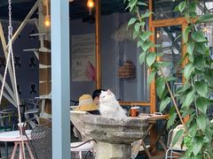 门面-喵屿·大理花园猫咖