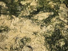 -在海一方公园