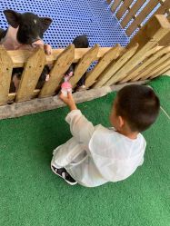 -萌宠亲子动物乐园(槐房万达店)