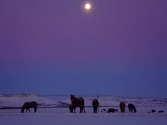 -塞罕坝国家级自然保护区