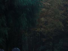 -山王坪喀斯特国家生态公园