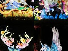 -海合安成都极地海洋公园
