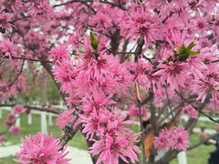 -汉长安城未央宫国家考古遗址公园