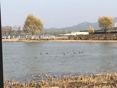 -江阴敔山湖公园