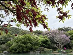 -云溪植物园