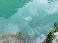 -靖西鹅泉风景区
