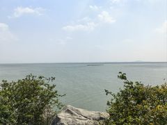 -贡湖湾湿地公园
