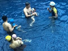 -酷游亲子游泳中心