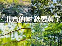-白水寺森林公园
