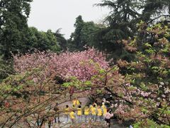 -南山植物园