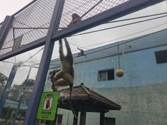 -大连森林动物园