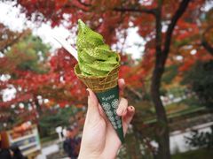 金箔抹茶冰淇淋-豆政(金閣寺境内売店)