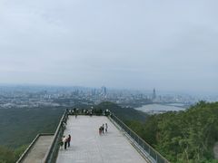 -紫金山山顶公园
