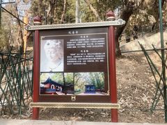 -红螺寺