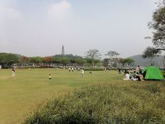 -顺峰山公园