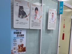 -全心全意连锁动物医院·微创中心·内科急重症·心脏专科(丰管路店)