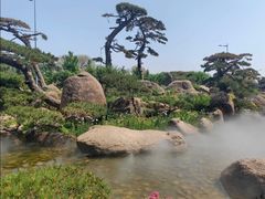 -罗红摄影艺术馆