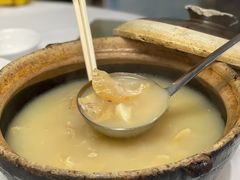 雞煲翅-新陶陶酒家