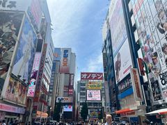-秋叶原电器街