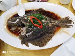清蒸多宝鱼-汇景花园酒家(基立下道店)
