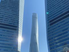 -陆家嘴中心绿地