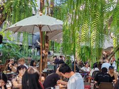-Fern Forest Cafe