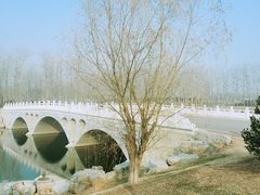 -马家湾湿地公园