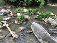 -梁野山景区