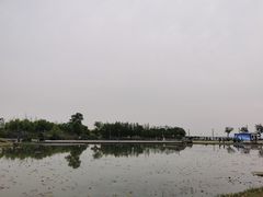-滆湖低碳生态公园