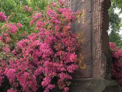 -四川博物院